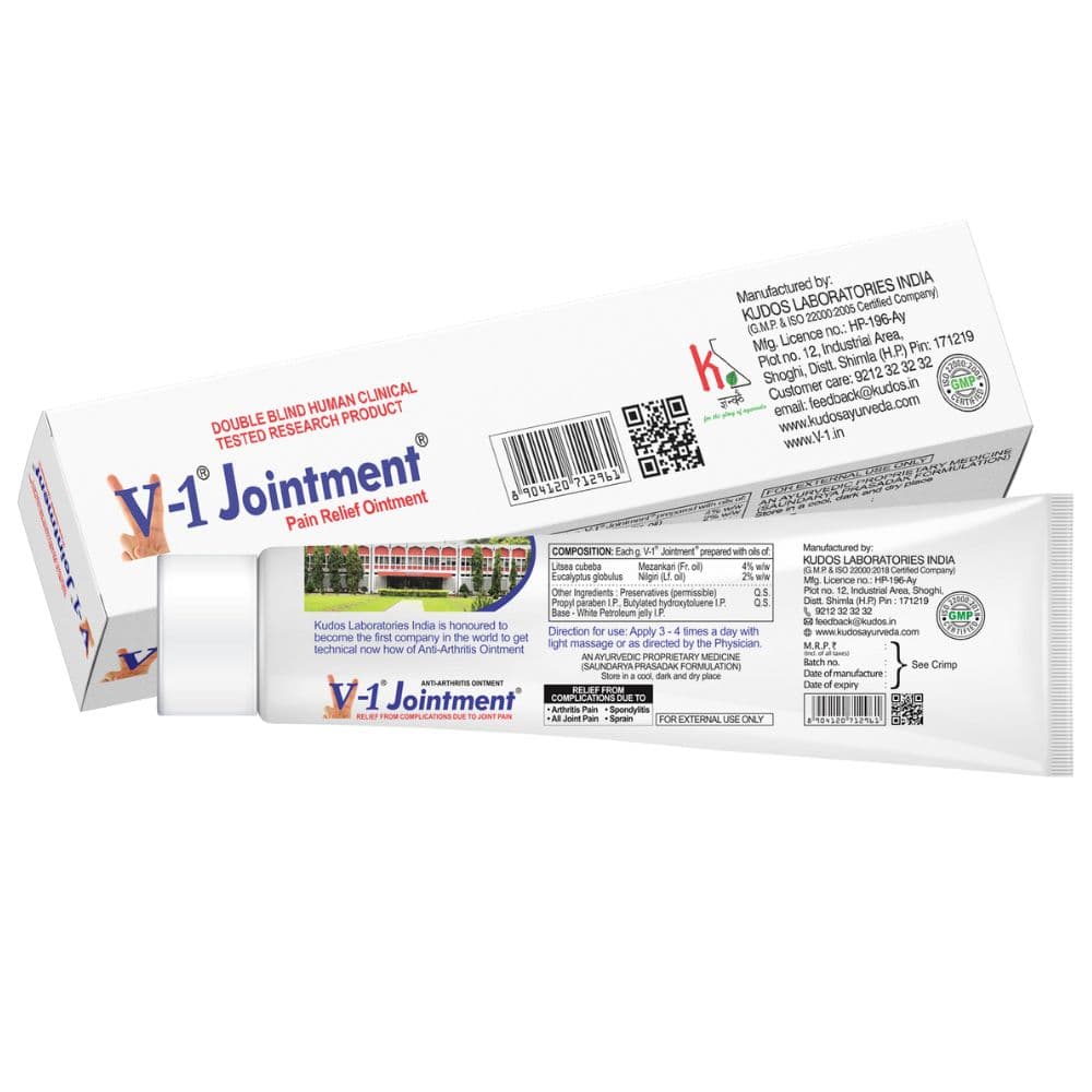 V-1 Jointment Pain Relief Ointment β 90g 2
