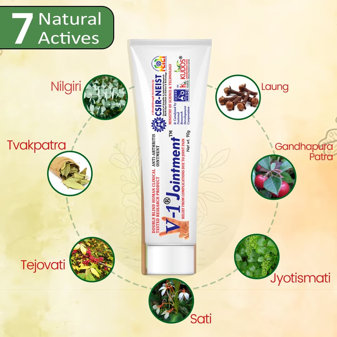 V-1 Jointment Pain Relief Ointment β 90g 6
