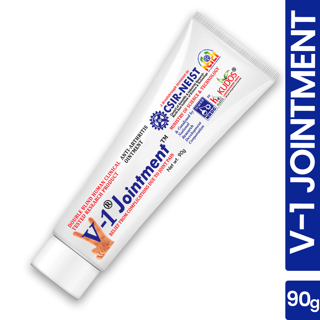 V-1 Jointment Pain Relief Ointment β 90g 3