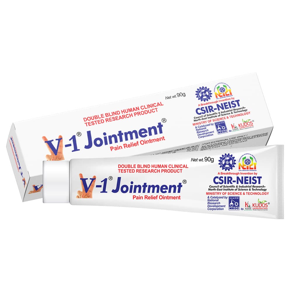 V-1 Jointment Pain Relief Ointment โ 90g