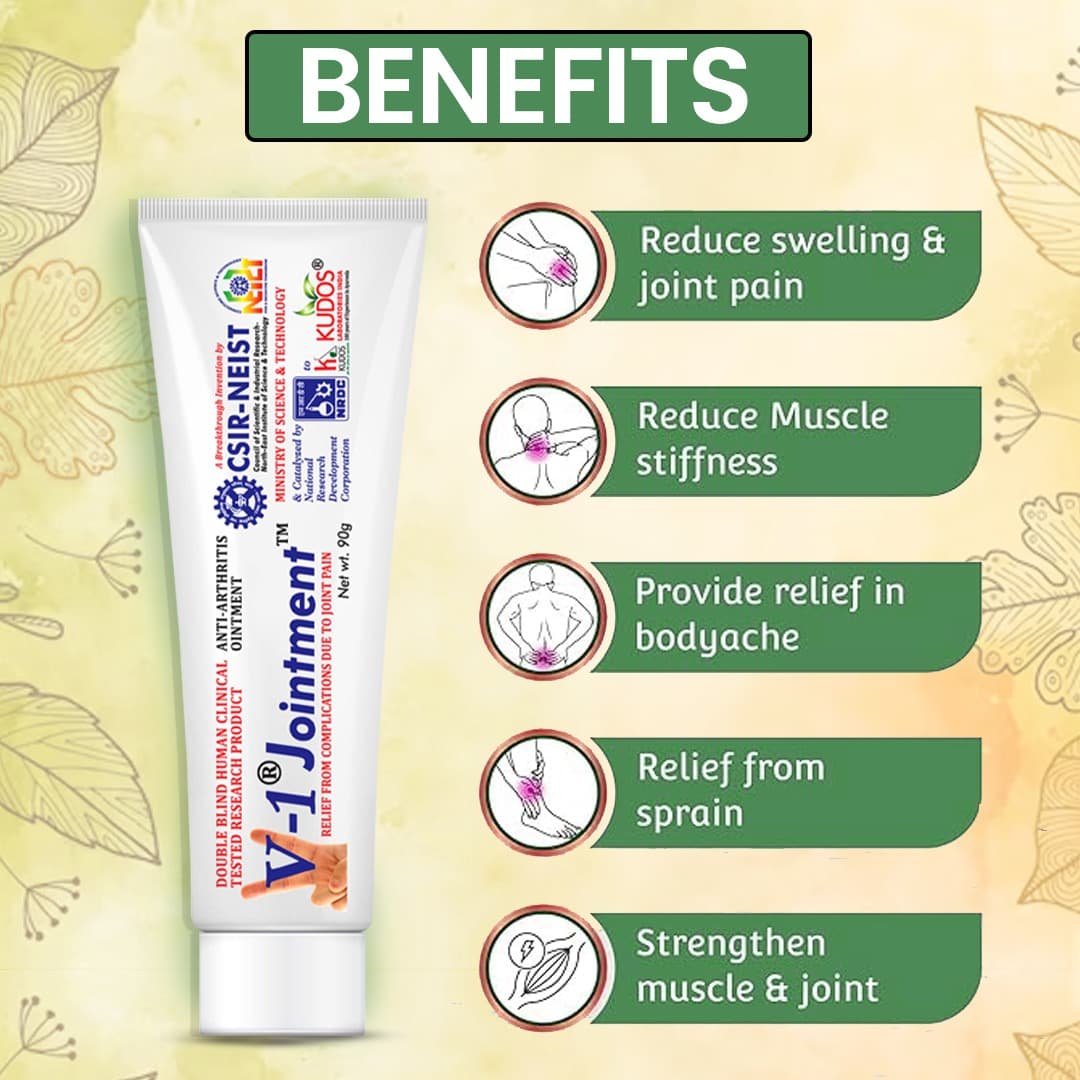 V-1 Jointment Pain Relief Ointment β 90g 4